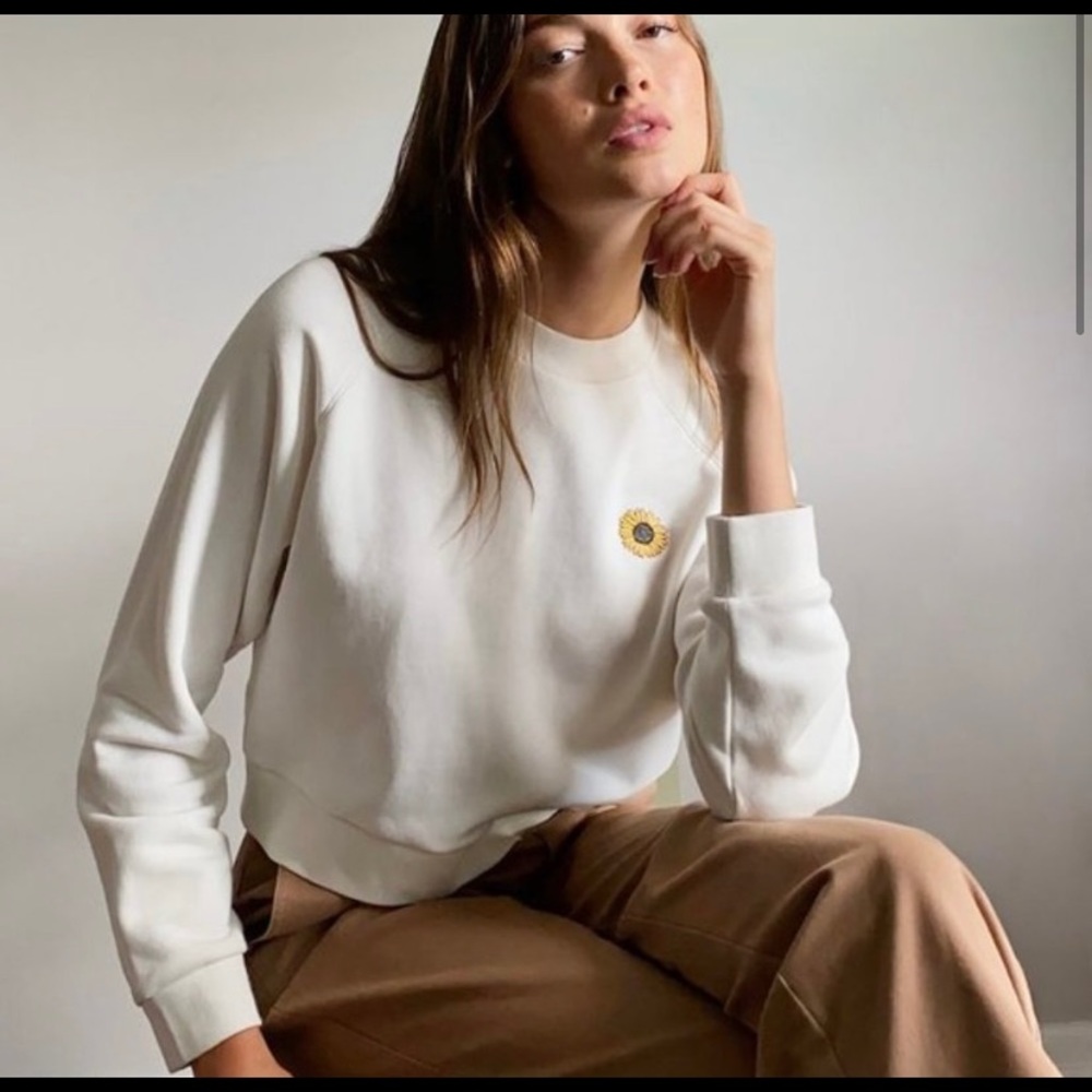 Aritzia Sunday Best Elle Cropped Sweater